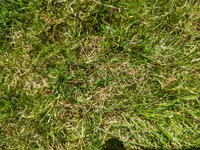 PXL_20220710_103417906.webp