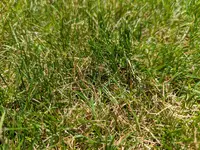 PXL_20220710_103402678.webp