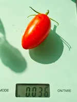 20220710_171418.jpg