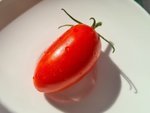 20220710_171349.jpg