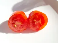20220710_171321.jpg
