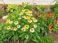 IMG_20220704_101608.jpg IMG_20220704_101608.jpg