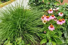 IMG_20220704_101714.webp IMG_20220704_101714.webp