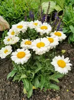 IMG_20220622_184336.webp IMG_20220622_184336.webp