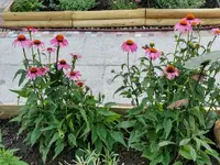 IMG_20220630_181040.webp IMG_20220630_181040.webp