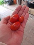 IMG_20220710_194352.jpg