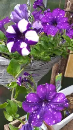 20220710_141213.webp
