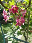 IMG_20220710_115734.jpg