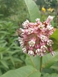 IMG_20220709_180118.jpg