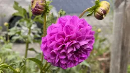 2AD7954C-C9C6-42C2-B507-093334F7F1F3.webp