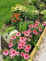 IMG_20220711_085726.jpg IMG_20220711_085726.jpg