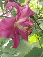 IMG_20220710_114655.webp