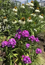 0EE2EA17-6612-4838-A64E-9C5BF6CEF7E2.webp 0EE2EA17-6612-4838-A64E-9C5BF6CEF7E2.webp