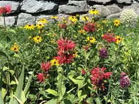 CF093350-435B-4450-B799-DEDA5E909DCF.webp CF093350-435B-4450-B799-DEDA5E909DCF.webp