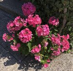 07B5305C-55ED-41F0-A248-4325FDF5AD05.jpeg