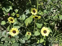 1D02B8CA-837E-4001-BE46-04B2AB617FFC.webp