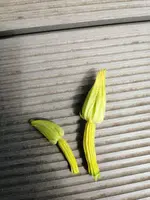 IMG_20220711_145312.webp