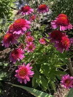 3FE94160-820C-430A-A896-4FD71C3A59CD.webp 3FE94160-820C-430A-A896-4FD71C3A59CD.webp