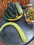 IMG_20220711_171622.jpg