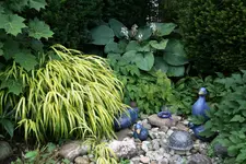 Juli       2122.webp
