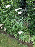 20220711_103013.jpg