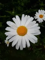 20220711_103018.webp