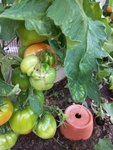 20220712_064531.jpg