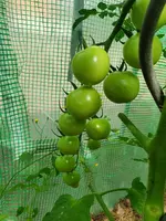 20220712_094917.webp