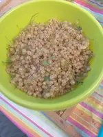 IMG_20220712_145821.webp