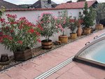 IMG_20220712_110615.jpg