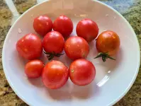 20220712_101137.webp