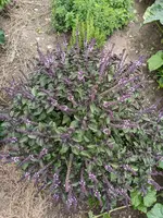 PXL_20220710_142337329.jpg