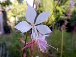 DSCN3865.JPG