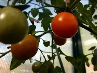 DSCN3867.webp