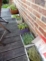 DSCN3871.webp