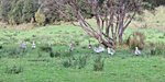 IMG_8395 - Copy.JPG