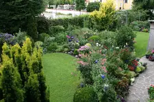 Juli       1322.webp