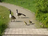 P1070790.webp