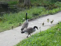 P1070800.webp