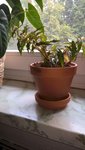 WP_20220713_12_48_15_Pro.jpg