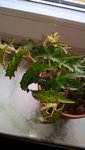 WP_20220713_12_48_26_Pro.jpg