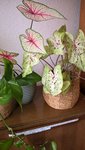 WP_20220713_13_12_22_Pro.jpg