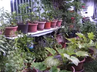 BILD0245.webp
