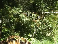 BILD0262.webp
