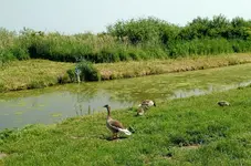 IMG_20180528_100331704.webp