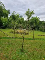 20220707_172558.webp