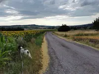 IMG_20220710_074358.webp