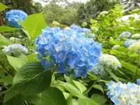 DSCI0121 (2).webp