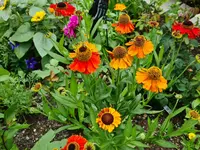 20220714_064223.webp