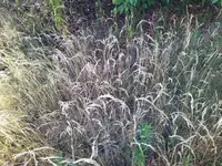 IMG_20220714_085106.webp